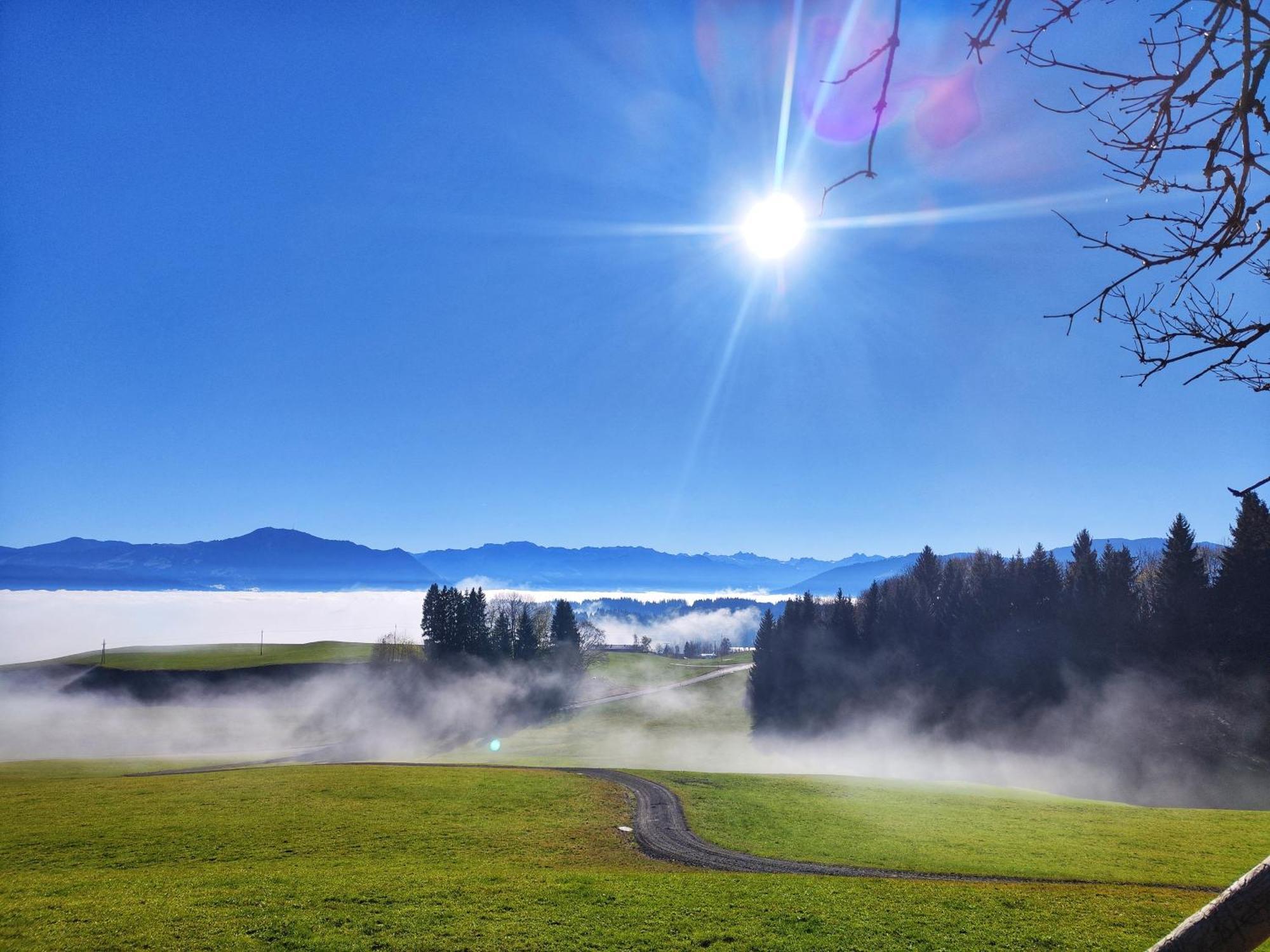 Alpseegruenten - *